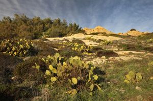 bastide-blanche-2.jpg