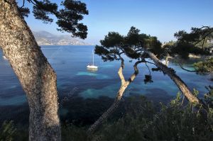 Cap Ferrat Paloma bay