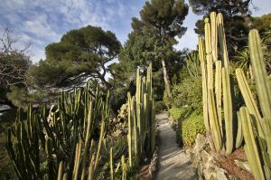 Cactus garden Villa Ephrussi de Rothschild