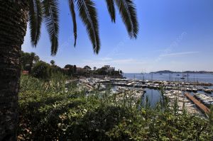 Small port Beaulieu sur Mer