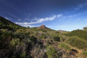 Esterel hill